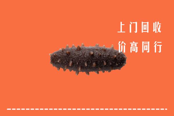 高价求购：白银回收海参